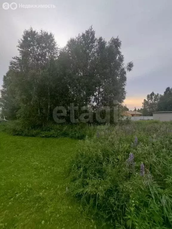 Участок в сельское поселение Большие Козлы, деревня Еловка, Ягодная ... - Фото 0