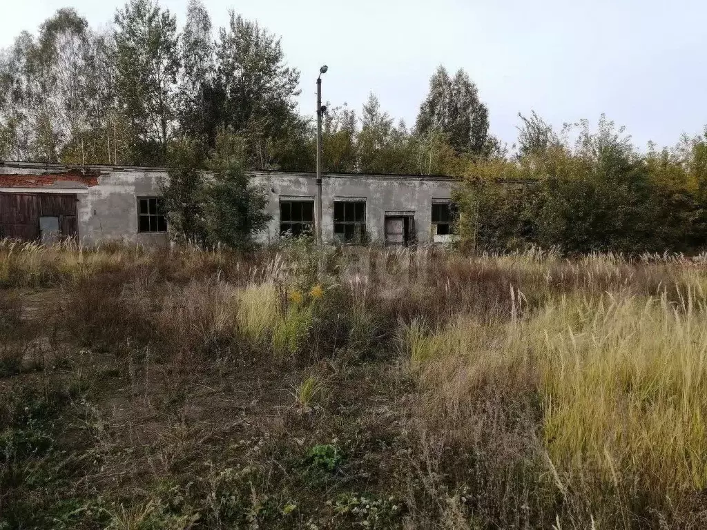 Склад в Брянская область, Клинцовский район, пос. Первое Мая ул. ... - Фото 2