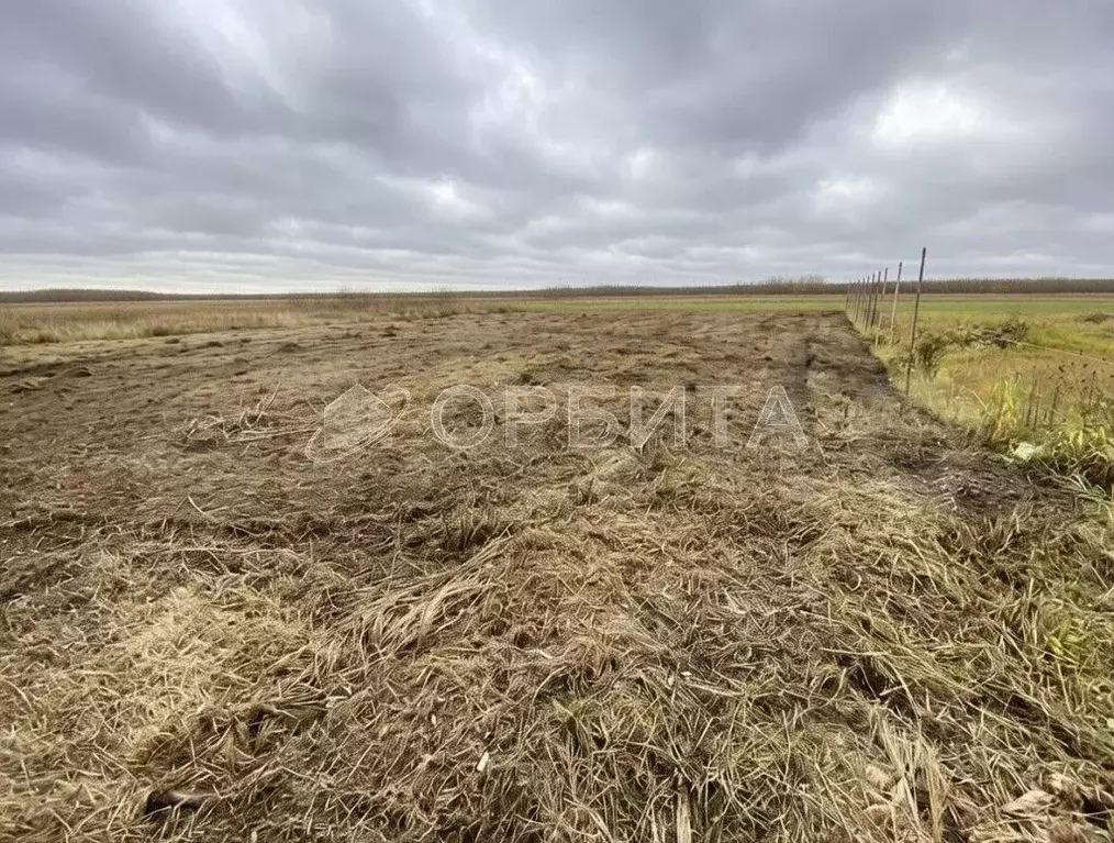 Участок в Тюменская область, Нижнетавдинский муниципальный округ, ... - Фото 1