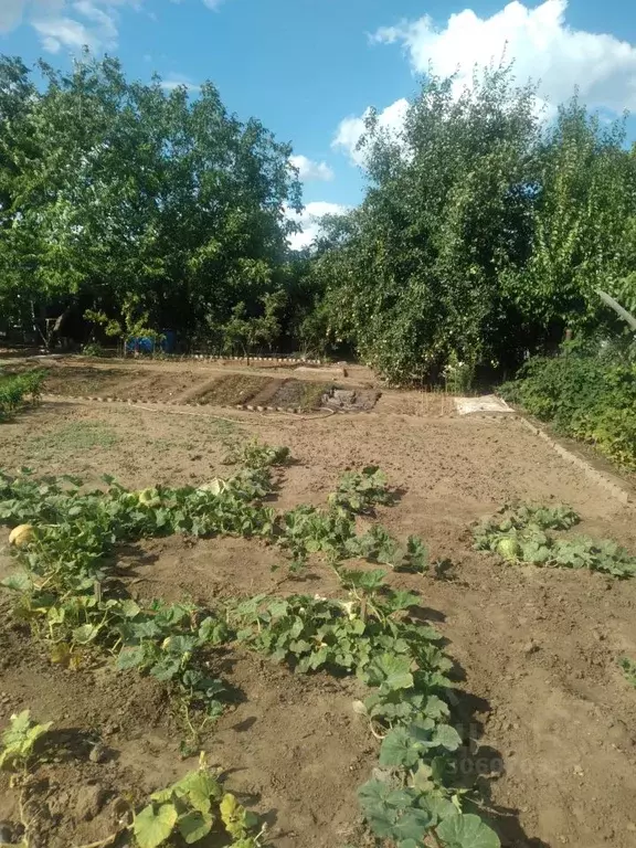 участок в волгоградская область, городищенский район, ерзовское . - Фото 1