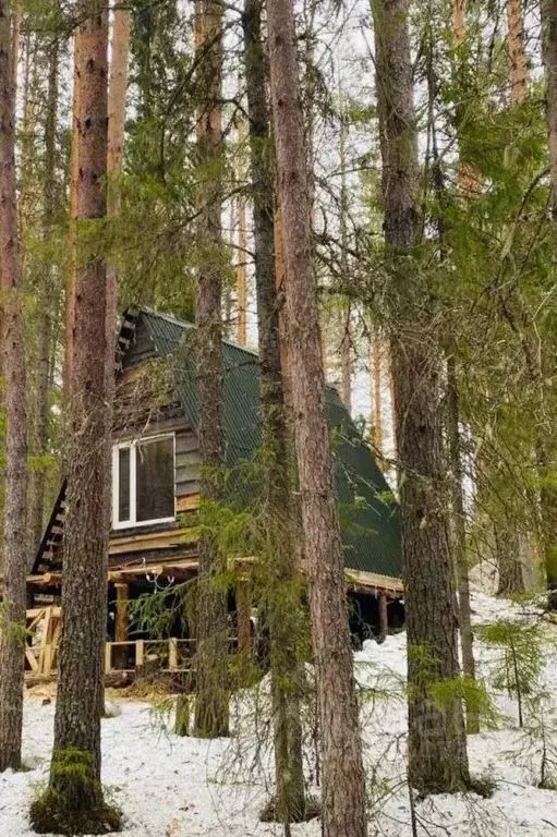 Дом в Архангельская область, Красноборский муниципальный округ, д. ... - Фото 1