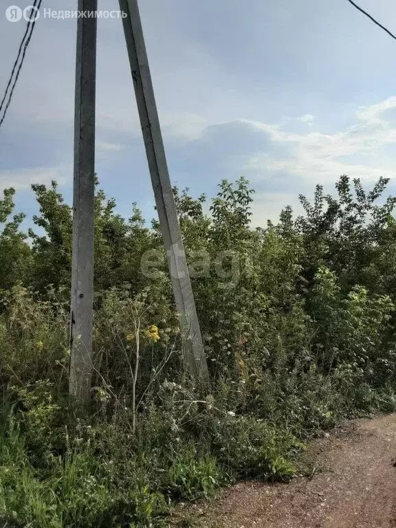 Участок в Таптыковский сельсовет, СТ Вишенка (13.7 м) - Фото 2