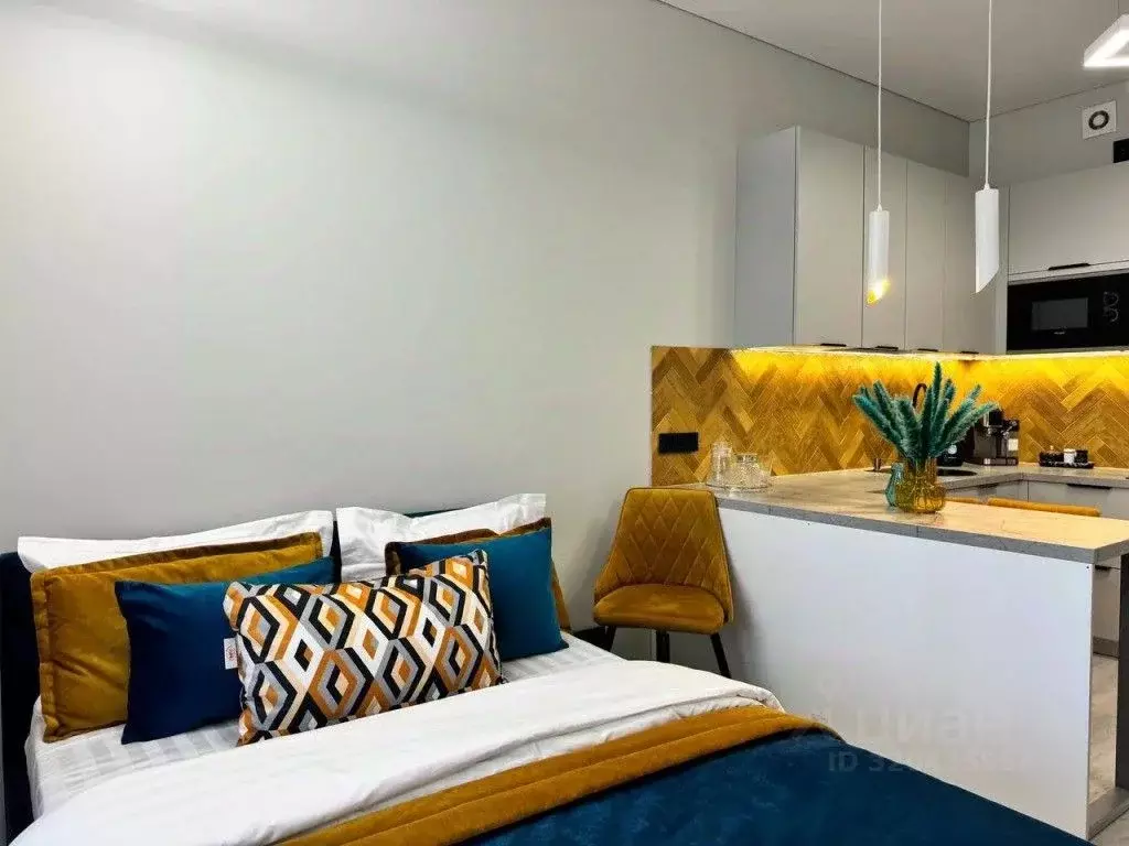 1-к кв. Санкт-Петербург Дальневосточный просп., 19к1 (26.0 м) - Фото 1