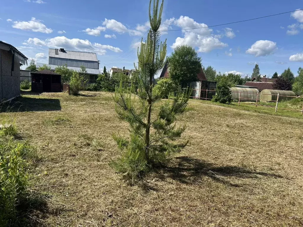 Участок в Ленинградская область, Кингисеппский район, Большелуцкое ... - Фото 1