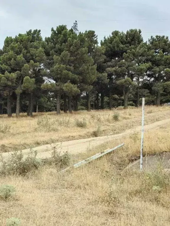 Участок в Дагестан, Дербент Горка СНТ,  (5.8 сот.) - Фото 1