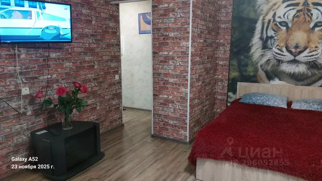 Студия Пермский край, Пермь ул. Ленина, 84 (36.0 м) - Фото 1