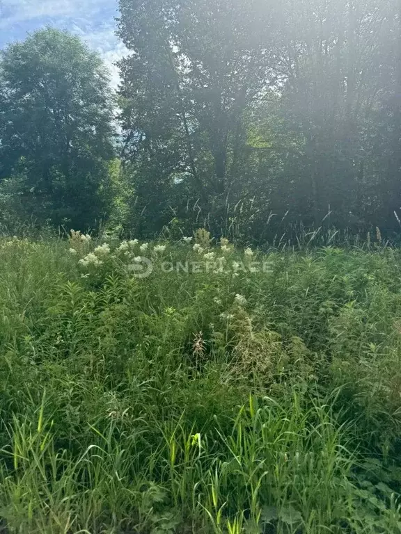 Участок в Ленинградская область, Приозерский район, Мельниковское ... - Фото 1