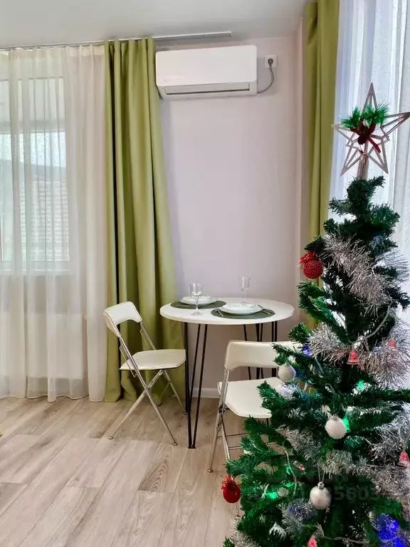 Студия Приморский край, Владивосток ул. Полковника Фесюна, 22 (24.0 м) - Фото 1