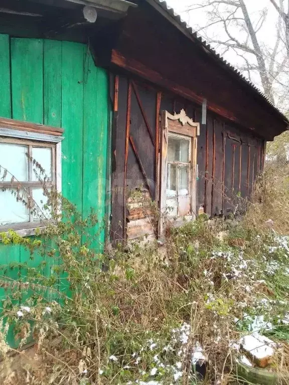 Дом в Алтайский край, Ребрихинский район, Беловский сельсовет, с. ... - Фото 2
