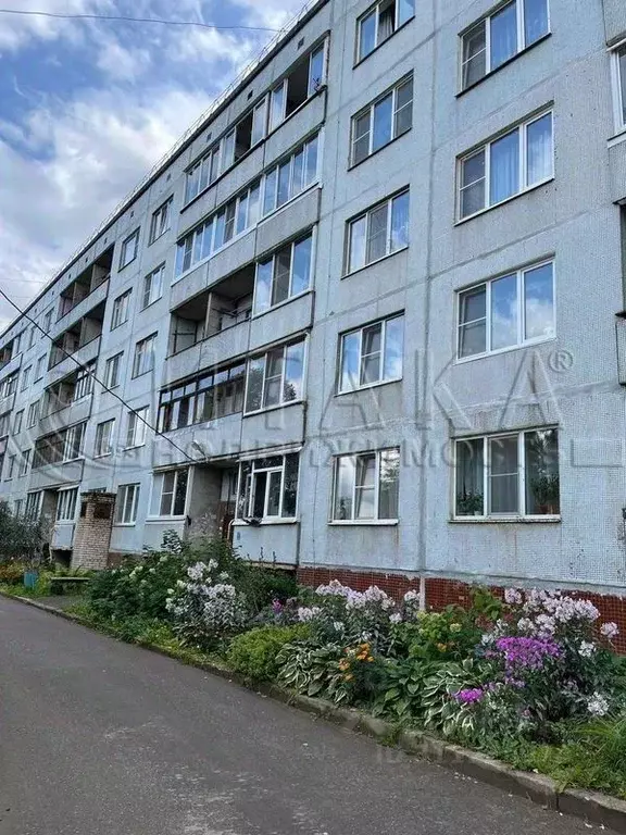 2-к кв. Ленинградская область, Волховский район, д. Бережки 20 (53.1 ... - Фото 1