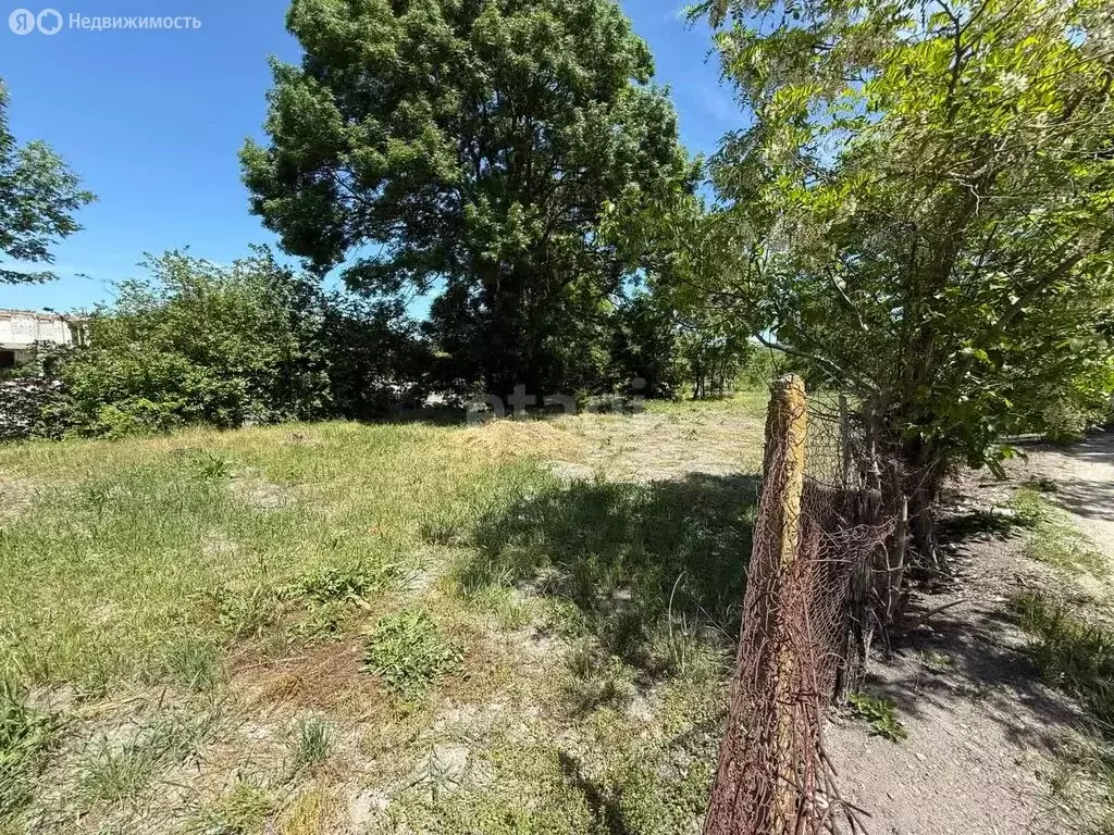 Участок в Краснодарский край, городской округ Новороссийск, станица ... - Фото 1