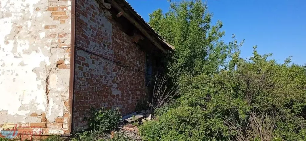 Участок в Воронежская область, Новоусманский район, Нижнекатуховское ... - Фото 2