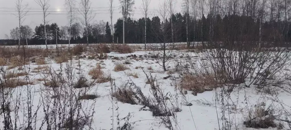 Участок в Московская область, Черноголовка городской округ, д. Ботово ... - Фото 0