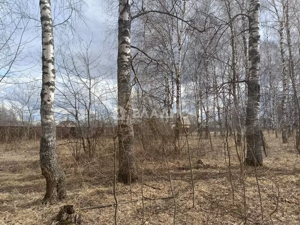 Участок 15,7 сот. (личное подсобное хозяйство (лпх)) - Фото 0