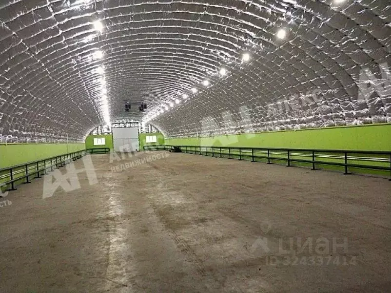 Склад в Московская область, Электросталь городской округ, пос. ... - Фото 1