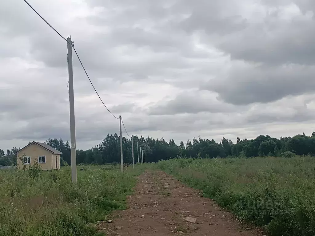 Участок в Новгородская область, Новгородский район, Ракомское с/пос, ... - Фото 0