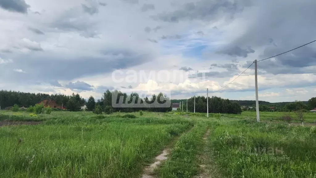 Участок в Пензенская область, Кузнецкий район, с. Ульяновка Инженерная ... - Фото 2