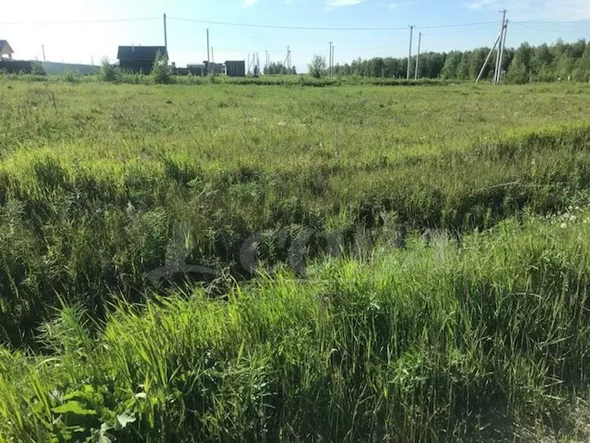 Участок в Тюменский район, деревня Якуши, коттеджный посёлок Сан ... - Фото 0