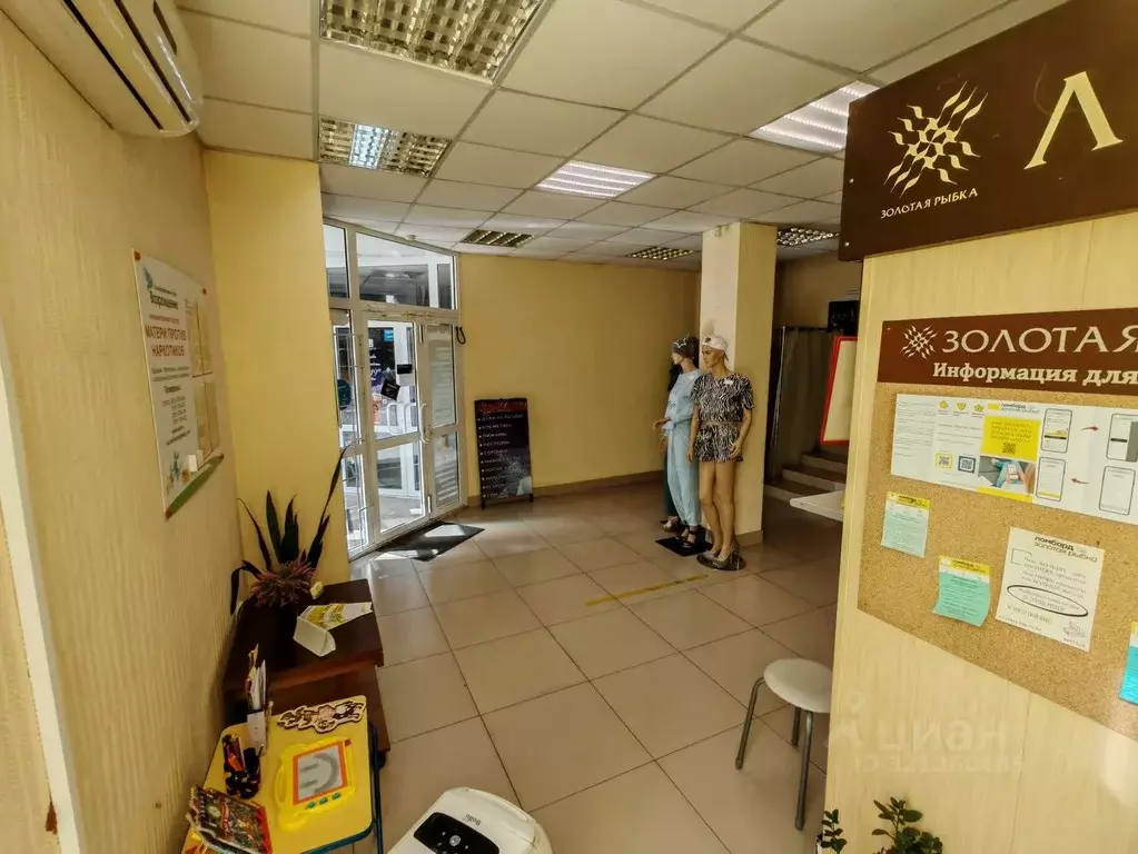 Торговая площадь в Челябинская область, Челябинск Кронштадтская ул., ... - Фото 1