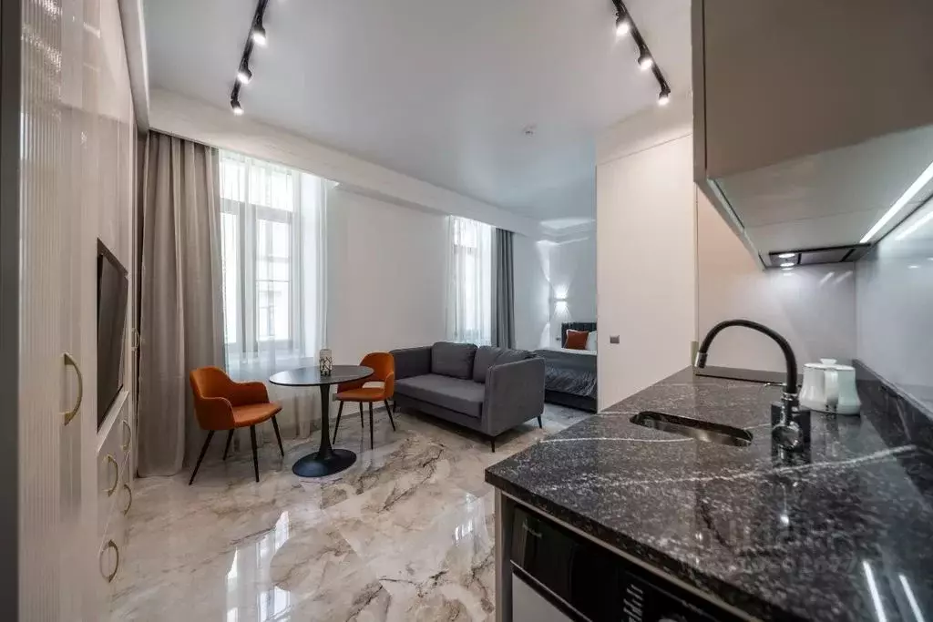 Студия Санкт-Петербург наб. Реки Карповки, 31к2 (25.0 м) - Фото 0