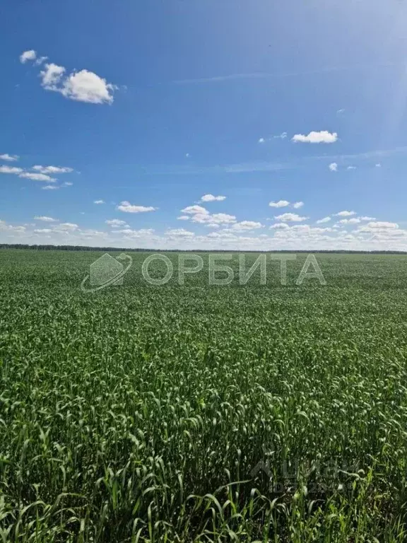 Участок в Тюменская область, Тюменский муниципальный округ, пос. ... - Фото 1