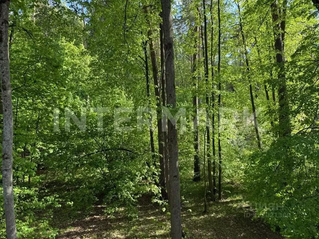 Участок в Москва Одинцовская ул. (30.0 сот.) - Фото 2