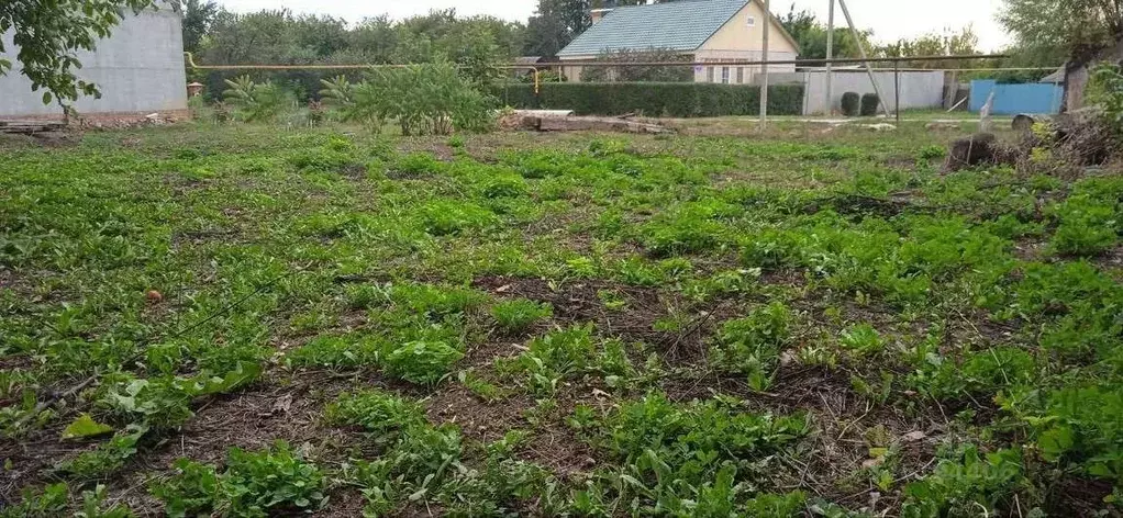 Участок в Белгородская область, Корочанский район, Ломовское с/пос, с. ... - Фото 2