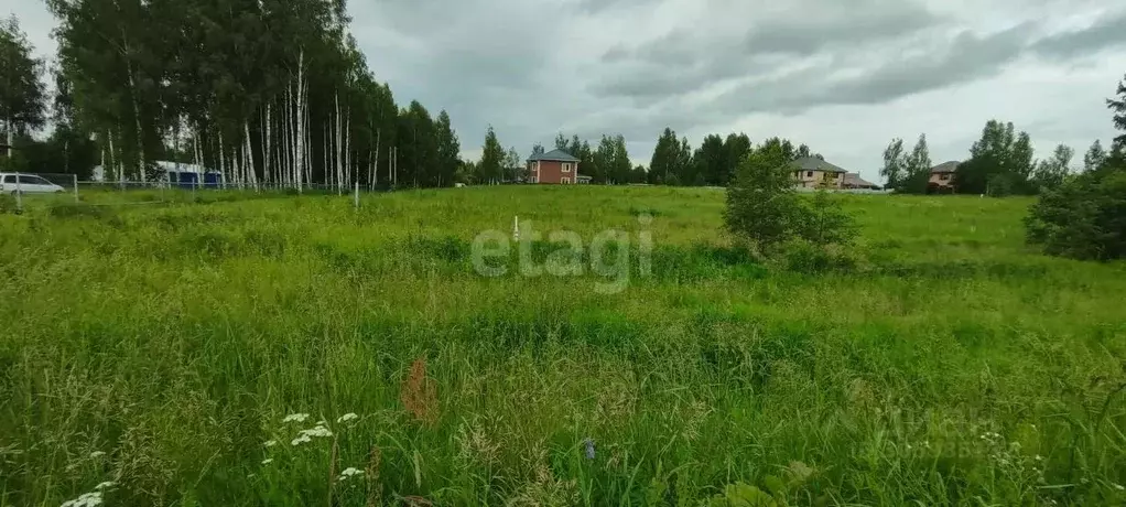 участок в смоленская область, смоленский муниципальный округ, . - Фото 1