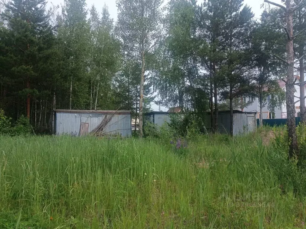 Участок в Московская область, Электрогорск Павлово-Посадский городской ... - Фото 1