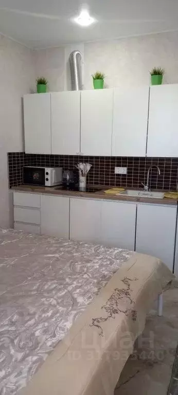Студия Краснодарский край, Новороссийск ул. Куникова, 47Г (25.0 м) - Фото 1