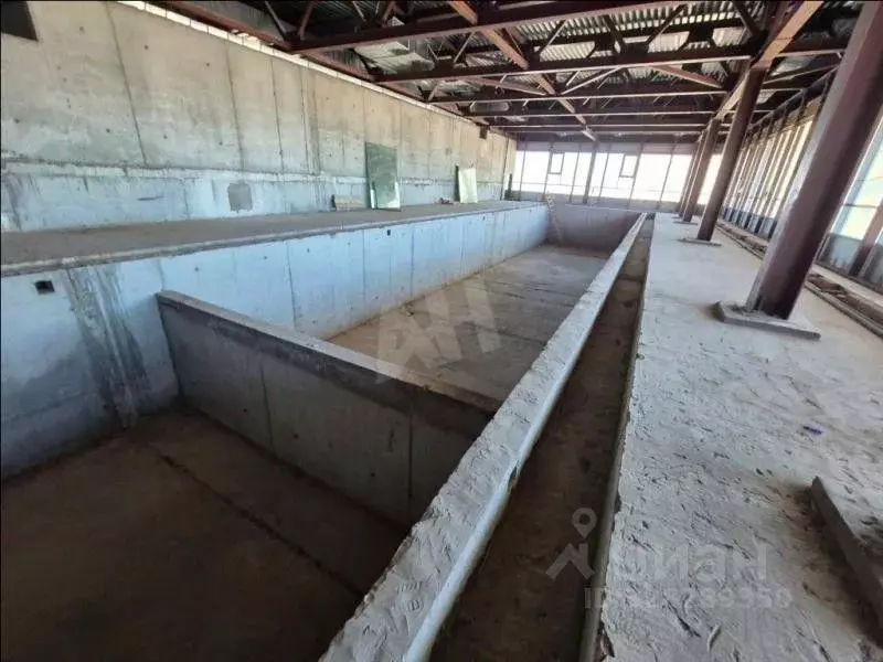 Помещение свободного назначения в Москва ул. Архитектора Власова, 6 ... - Фото 1