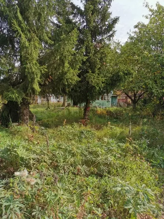 Дом в Московская область, Солнечногорск городской округ, Родник-3 СНТ ... - Фото 2