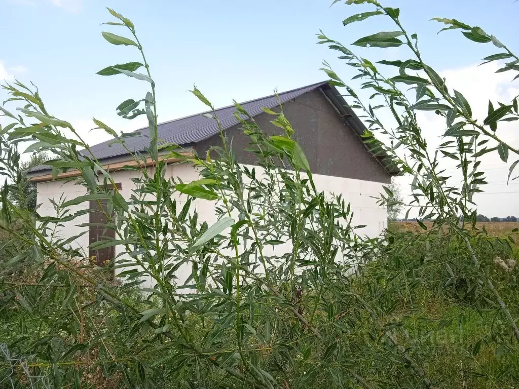 Дом в Калужская область, Дзержинский район, Дворцы с/пос, д. ... - Фото 1