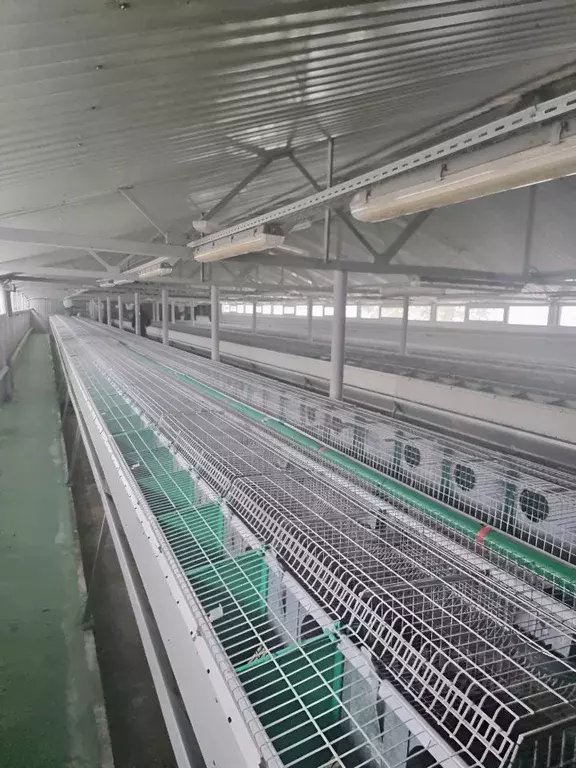 Помещение свободного назначения в Владимирская область, Собинский ... - Фото 2