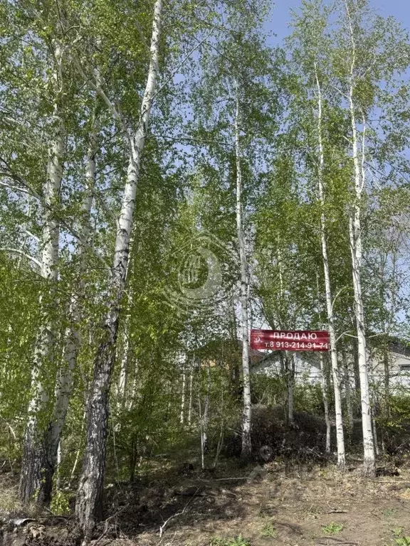 Участок в Алтайский край, Барнаул проезд Кофейный, 2 (7.02 сот.) - Фото 1