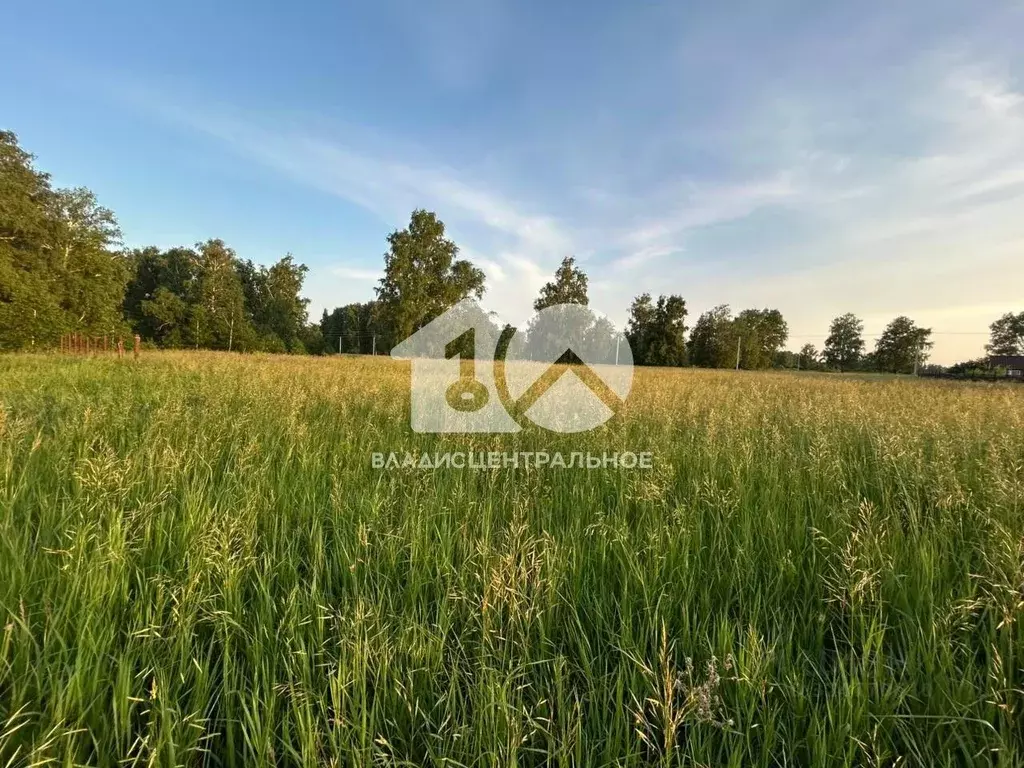 Участок в Новосибирская область, Ордынский район, с. Красный Яр ул. ... - Фото 1