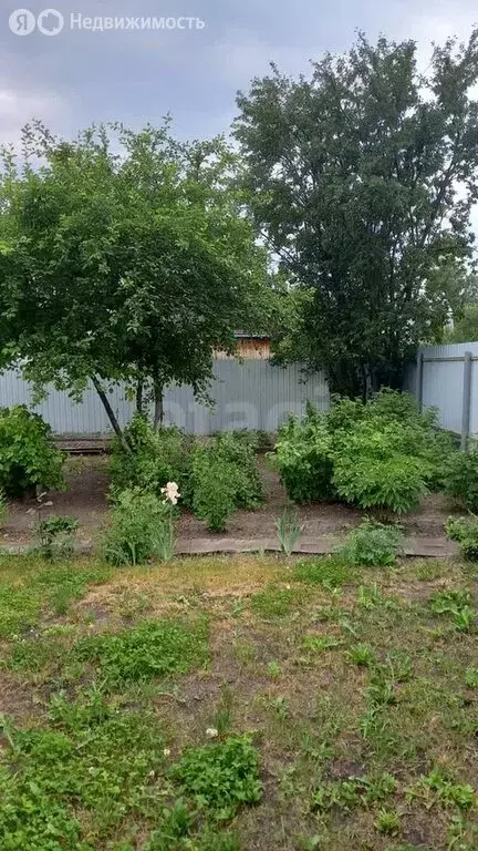Дом в Тюмень, территория СОСН Автоприбор, Сливовая улица (40 м) - Фото 1