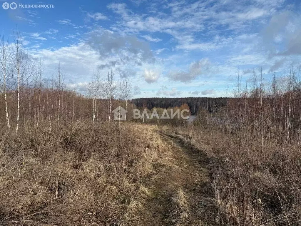 Участок в Ленинский городской округ, деревня Спасское (107 м) - Фото 0