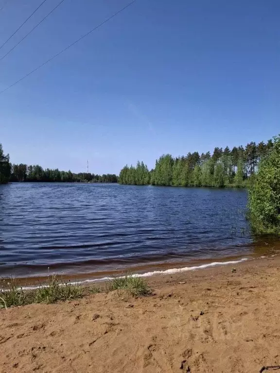 Участок в Ленинградская область, Сосновый Бор Бастион СНТ, ул. ... - Фото 2