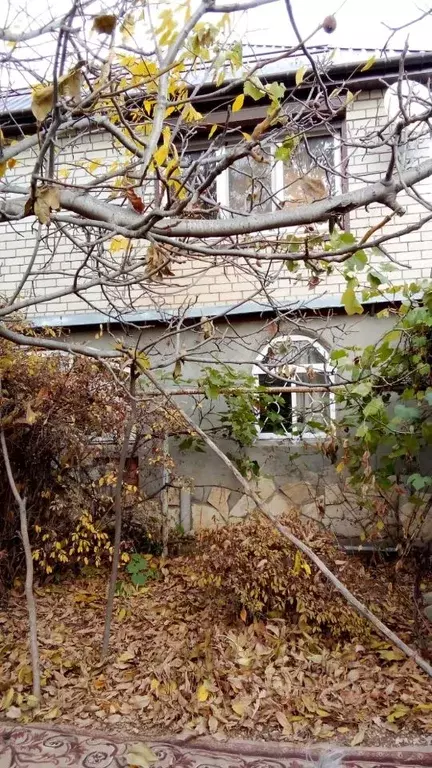 Дом в Саратовская область, Энгельс муниципальное образование, Фрегат ... - Фото 1