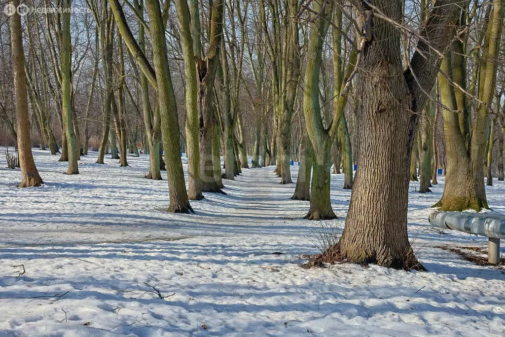 3-комнатная квартира: Калининград, Садовая улица, 37 (61 м) - Фото 1