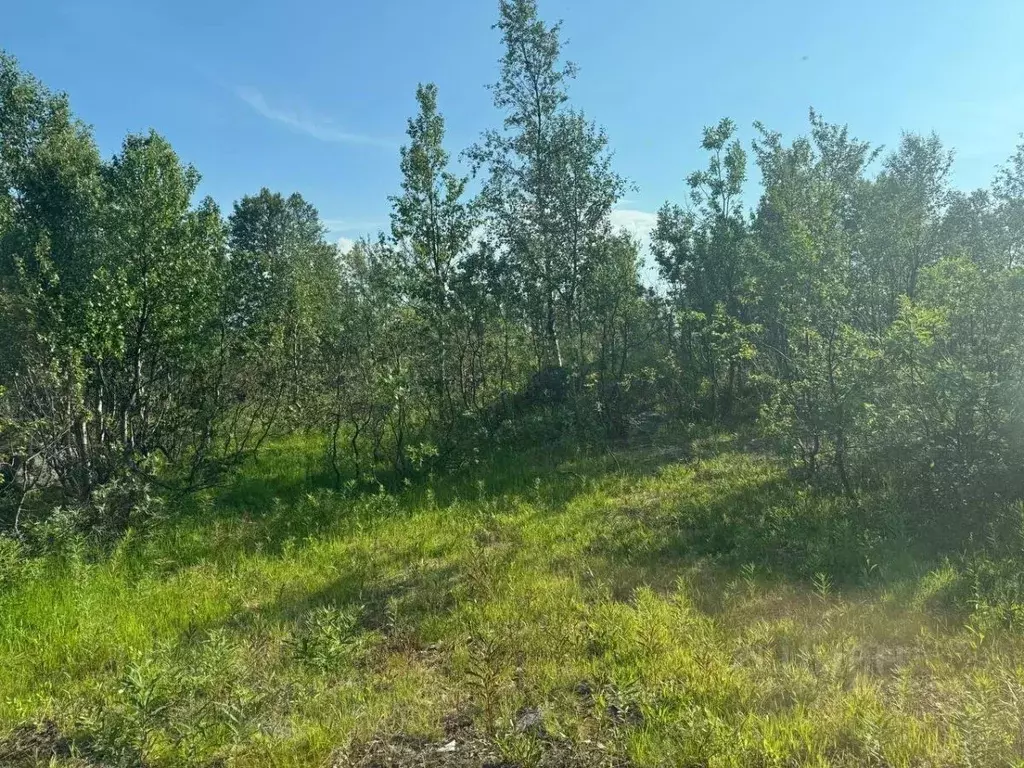 Участок в Мурманская область, Кольский муниципальный округ, Междуречье ... - Фото 1