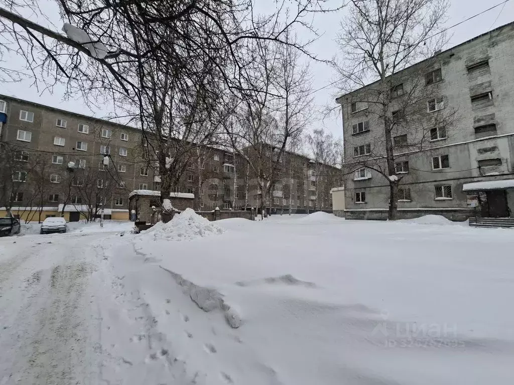 Студия Свердловская область, Нижний Тагил ул. Победы, 47к1 (17.5 м) - Фото 2