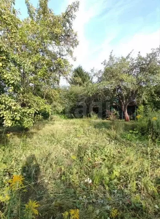 Участок в Нижегородская область, Нижний Новгород Победа СНТ, 163 (5.0 ... - Фото 2