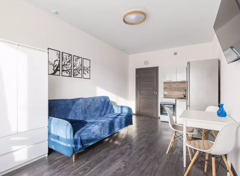 Студия Санкт-Петербург ул. Меридианная, 8 (24.0 м) - Фото 1