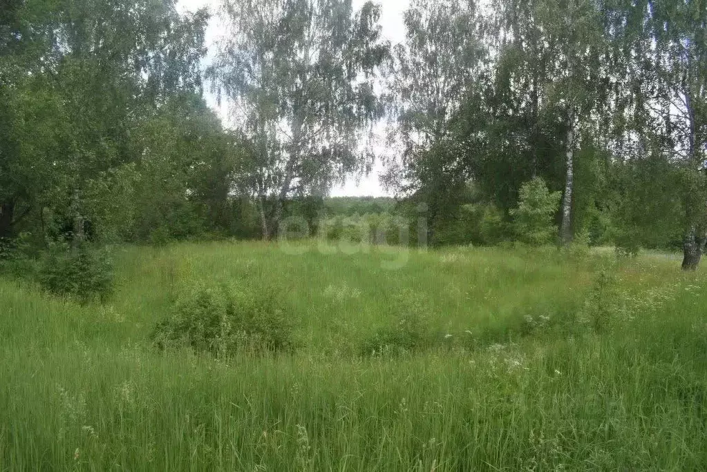 Участок в Калужская область, Бабынинский район, Воротынск городское ... - Фото 2