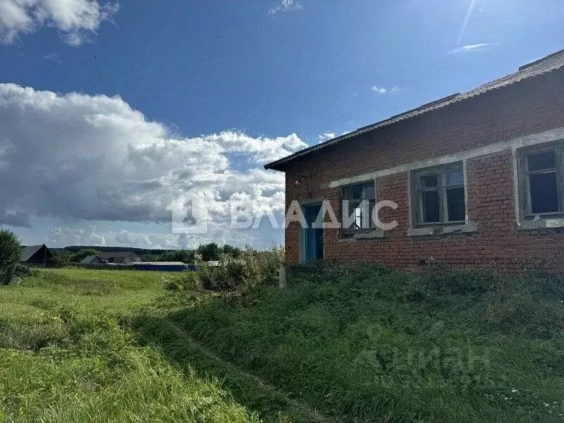 Участок в Владимирская область, Юрьев-Польский муниципальный округ, с. ... - Фото 1