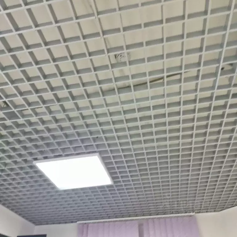 Помещение свободного назначения в Ленинградская область, Мурино ... - Фото 2