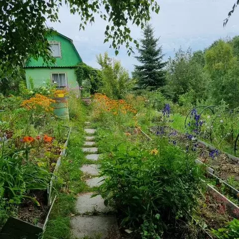 Дом 29,3 м на участке 5,44 га - Фото 0