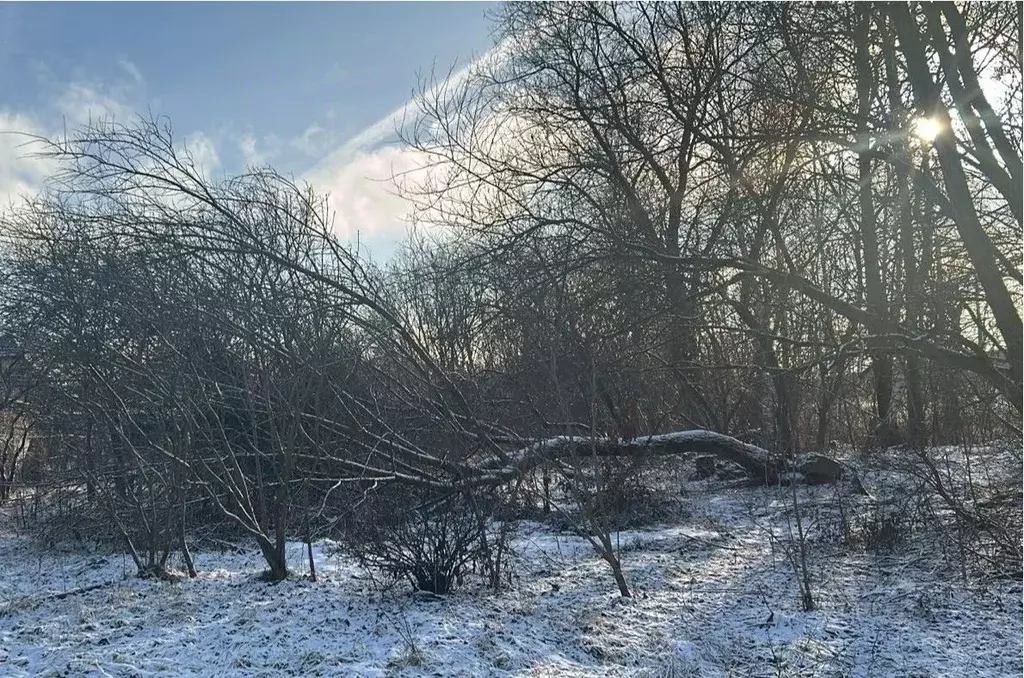 Участок в Московская область, Ступино городской округ, Михнево рп  ... - Фото 0